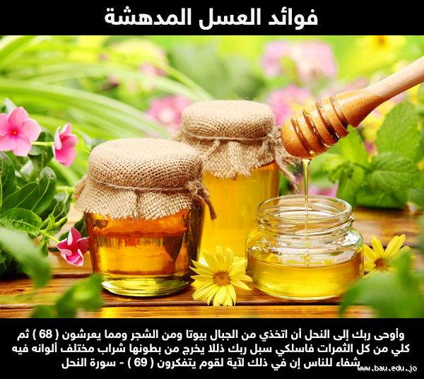 هل العسل مفيد للغضروف؟ اكتشف الفوائد المدهشة للعسل على صحتك