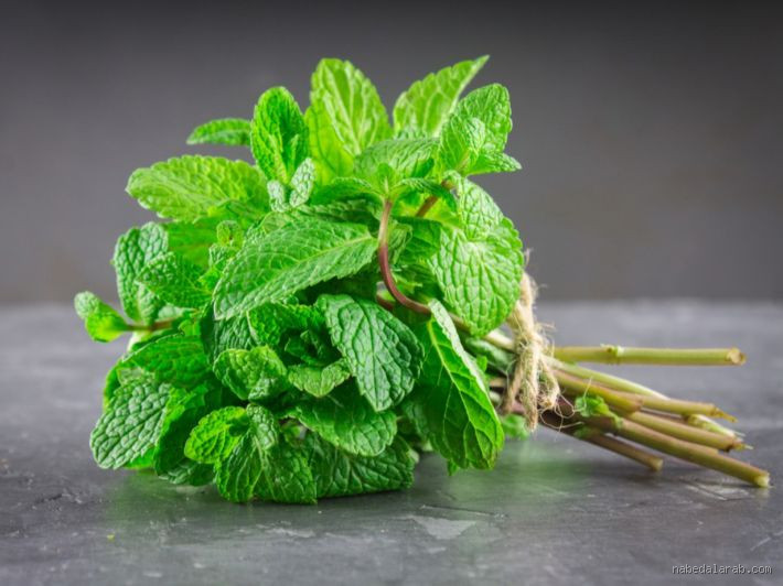 هل النعناع يرجع الصوت؟