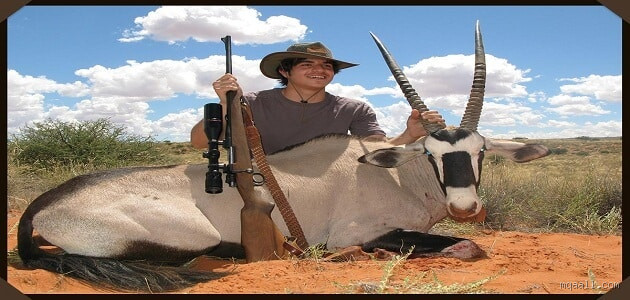 هل الصيد مفيد للحيوانات؟ الحقيقة التي يجب أن تعرفها