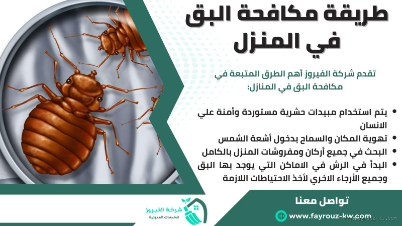 هل الثوم يقتل البق؟