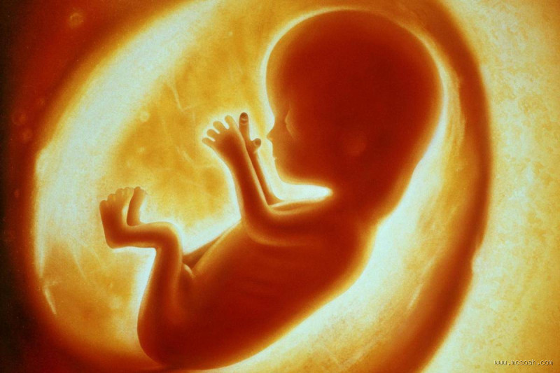 هل نقص ماء حول الجنين يسبب ولادة مبكرة؟