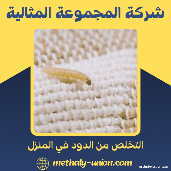 هل تحريك عضلة المؤخرة يكبرها؟ اكتشف الإجابة الآن!