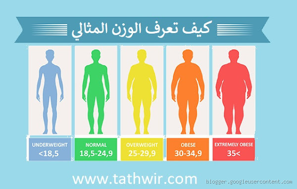 هل وزن 84 طبيعي؟ كيف تعرف إذا كان وزنك مثاليًا؟