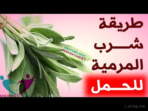 هل يجوز شرب الميرمية أثناء الدورة؟ اكتشف الحقيقة