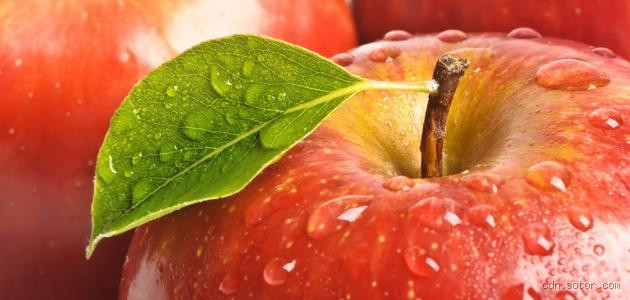 كم سعرة حرارية في تفاحة حمراء؟ قصة بين الأصدقاء ومع تفاحة