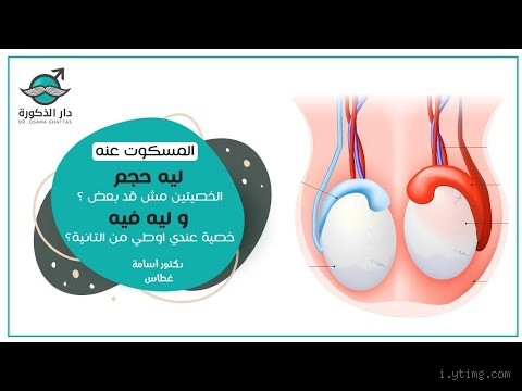 كيف اعرف الخصيتين سليمة؟ خطوات بسيطة لفحص صحتك