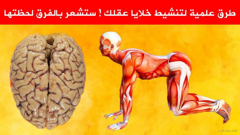 كيف تقوي خلايا المخ؟ خطوات بسيطة ونتائج مذهلة