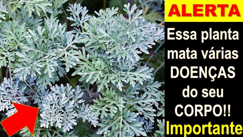 كيف يحسب اليوم عند اليهود؟ اكتشف تقويمهم المميز