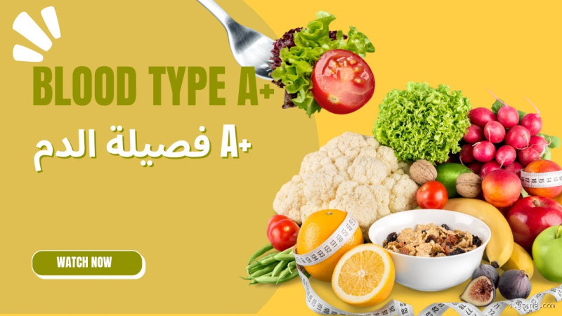 ما هو الأكل الممنوع لفصيلة الدم O+؟ تعرف على النظام الغذائي الأنسب لك