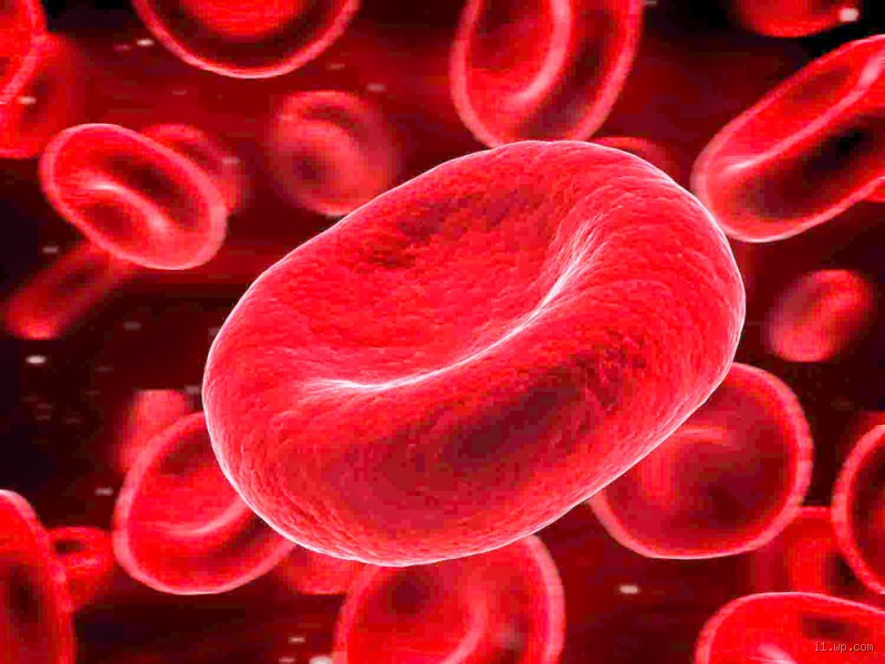 ما هو لون الدم الفاسد؟ اكتشف الحقيقة المدهشة!