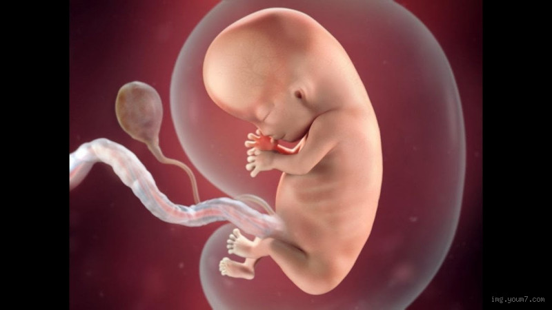 ما هو تخزين الحبل السري؟ كل ما تحتاج معرفته