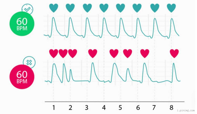 ما هي العشبة التي تنظم دقات القلب؟ اكتشف الحل الطبيعي