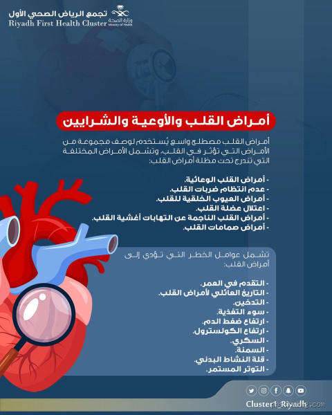 ما هي الأمراض التي يكشفها إيكو القلب؟ اكتشف الحقيقة وراء الفحص