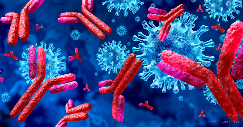 ما هي أسباب ارتفاع الأجسام المضادة في الجسم؟ اكتشف الأسباب والتأثيرات