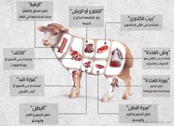 ما الفرق بين لحم الخروف والتيس؟ تعرف على التفاصيل