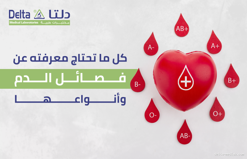 ماذا تقبل فصيلة الدم O+؟ كل ما تحتاج معرفته
