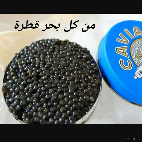 ماذا يفعل الكافيار للنساء؟ الفوائد المدهشة التي يجب أن تعرفيها