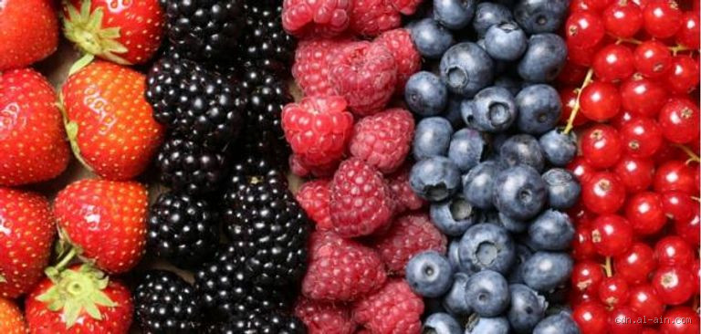 ماذا يفعل التوت في الجسم؟ فوائد صحية مذهلة للتوت بأنواعه