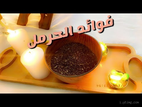 ماذا يحدث بعد التبخير بالحرمل؟ الفوائد والتأثيرات المحتملة