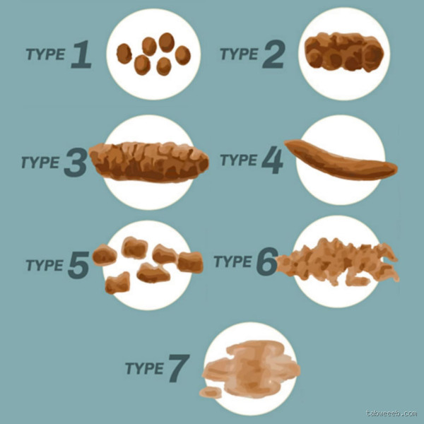 متى يكون البراز طبيعي؟ لا تتجاهل هذه العلامات!