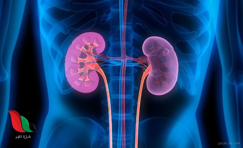 ما هو السبب وراء ظهور ألم الكلى؟ متى يجب عليك زيارة الطبيب؟