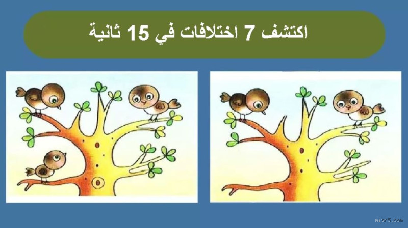 ما هو الفرق بين الطاولة والمنضدة؟ اكتشف الاختلافات الرئيسية